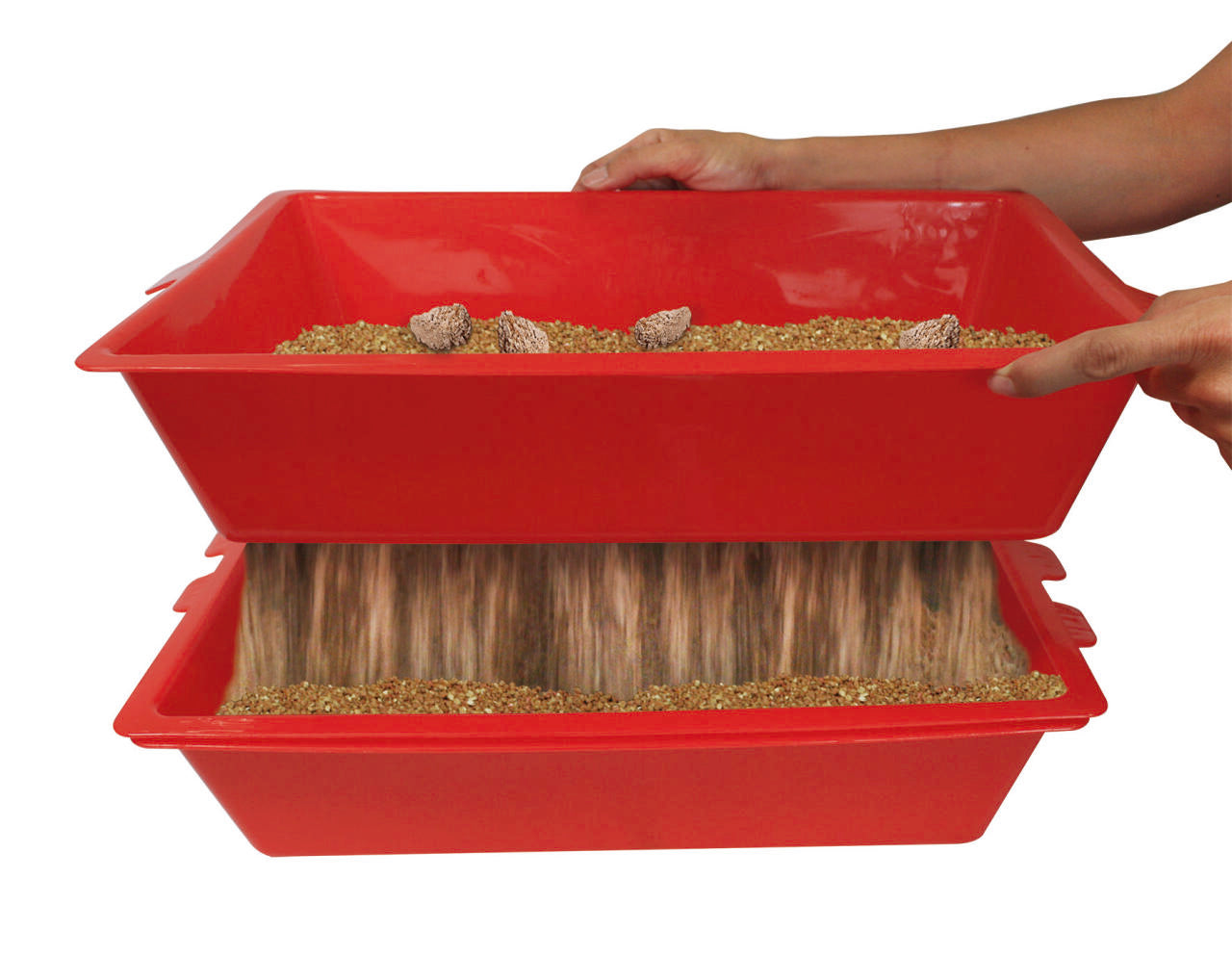 Sistema Inteligente de Limpieza para la Bandeja de Arena de tu Gato