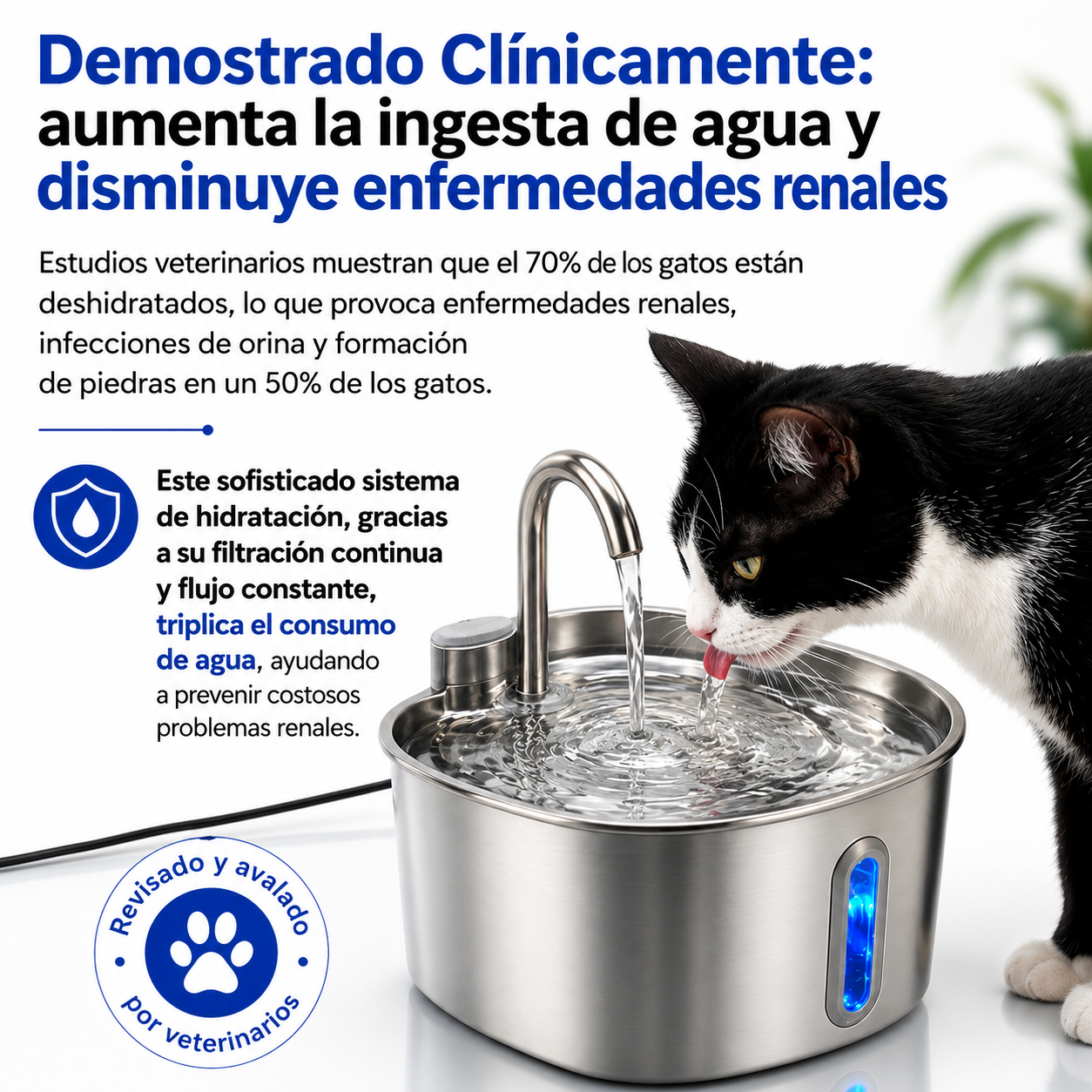 Fuente de Agua para Mascotas que Favorece una Hidratación Saludable