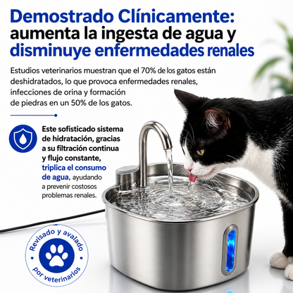 Fuente de Agua para Mascotas que Favorece una Hidratación Saludable